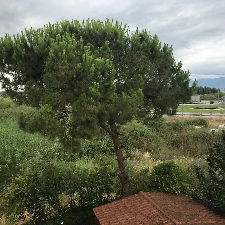 Apartment Holidays Near The *