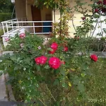 Apartamento Holidays Near The *
