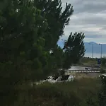 Holidays Near The *
