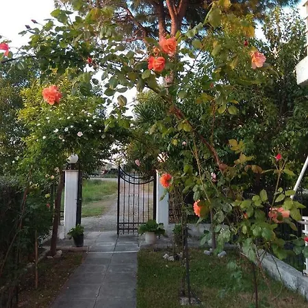 Daire Holidays Near The *