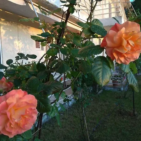 Holidays Near The Apartamento Kamena Vourla