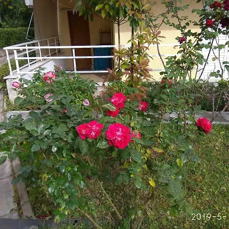 Apartamento Holidays Near The *