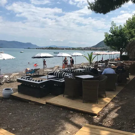 Holidays Near The *