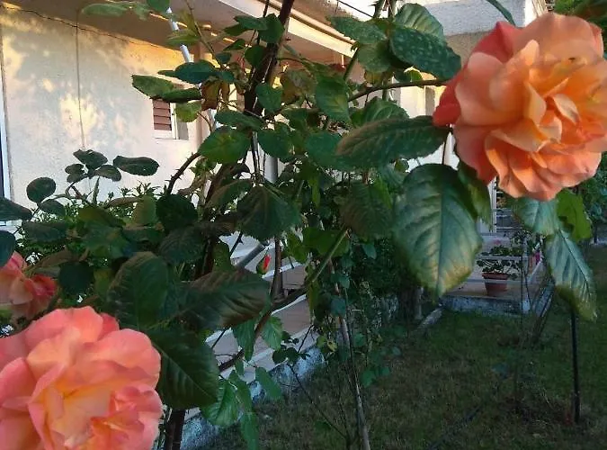 Holidays Near The Appartement Kamena Vourla